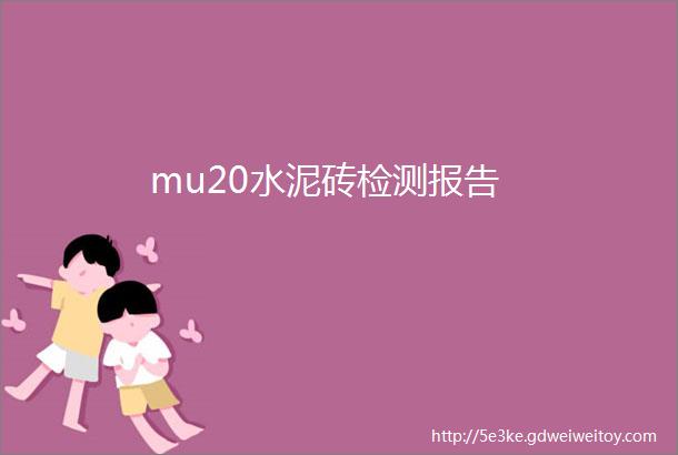 mu20水泥砖检测报告